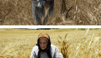 Î•Ï€ÎµÎ¾ÎµÏÎ³Î±ÏƒÎ¯Î± Î•Î¹ÎºÏŒÎ½Î±Ï‚ Î³Î¹Î± Ï„Î·Î½ Î Î¹ÎµÏÎ¹ÎºÎ® Î–ÏÎ¼Î· | Live Electronic ... και ζήσε ψηφιακά! - ΑΝΑΠΤΥΞΗ ΛΟΓΙΣΜΙΚΟΥ & ΣΧΕΔΙΑΣΗ ΙΣΤΟΣΕΛΙΔΩΝ & INTERNET MARKETING & SEO - image